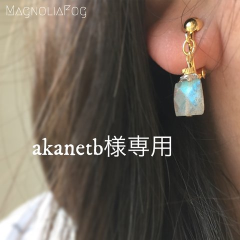 akanetb様専用