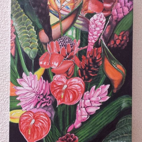 Hawaii  Flower   A3