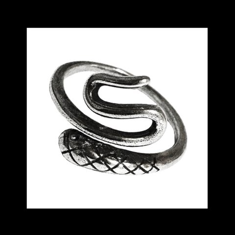 再販 silver925【snake_loop RING】蛇 スネークパイソン  シルバー 量産型 パンク ロック メンズ ユニセックス  ゴシック 病みかわいい アンティーク リング 指輪