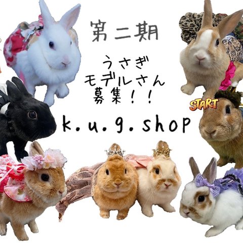 うさぎハーネス　kugshop うさぎモデルさん募集開始しました。