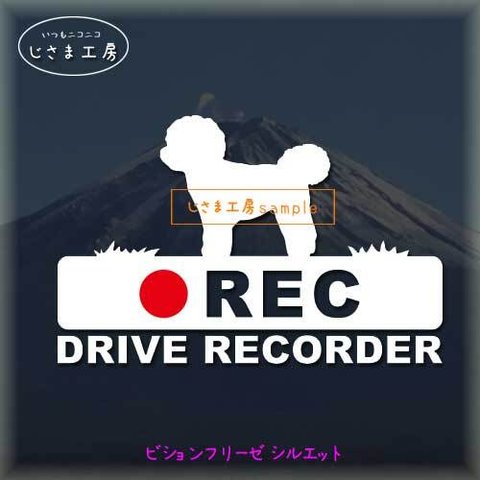 ビションフリーゼの白色シルエットステッカー‼後方注意‼『DRIVE　RECORDER』