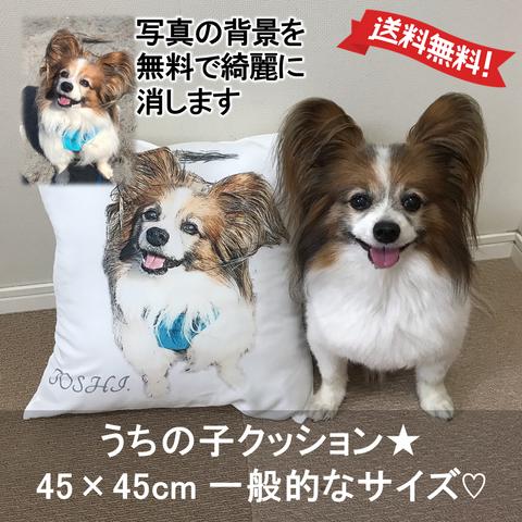 うちの子 クッション カバー オーダー 45cm | ペット 写真から クッション 作ります