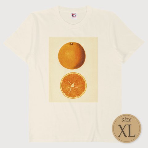 XL〔T6147〕オレンジ／みかん／Orange【USDA Watercolor Collection】水彩画／手描き／ナチュラル／果物／フルーツ／S M L XL Tシャツ