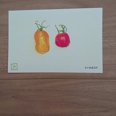 季節の絵はがき(ポストカード) 「あいこ  ミニトマト」2枚1セット