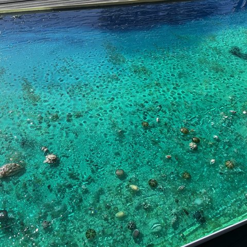 三陸海岸の海　壁掛けパネル