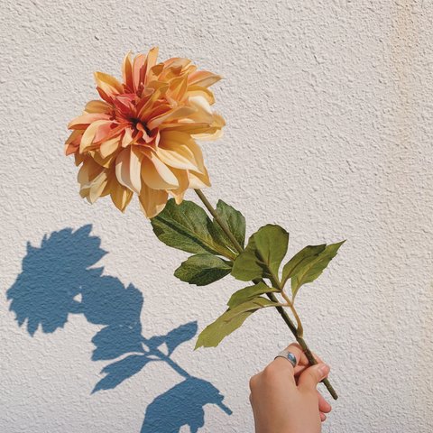 mini flower/セピアダリア/A0173