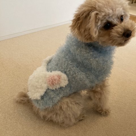 小型犬用の洋服