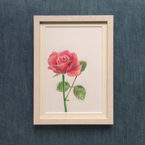 花のある生活♫B5マット付き額入り（軽め）色鉛筆画 赤いバラ 「花の絵」 「絵画」