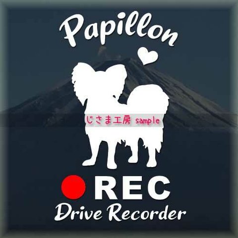 わんちゃんのかわいいドラレコステッカー　『DRIVE　RECORDER』