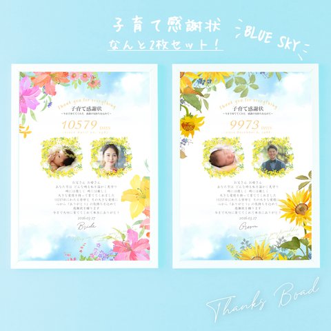 子育て感謝状「Blue Sky」〈2枚セット〉／ 両親贈呈品 結婚式 証書ホルダー 記念品 両親へのプレゼント ギフト