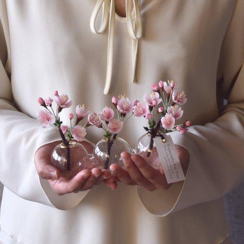 ◆粘土のお花◆　桜　　フォームベース　S931
