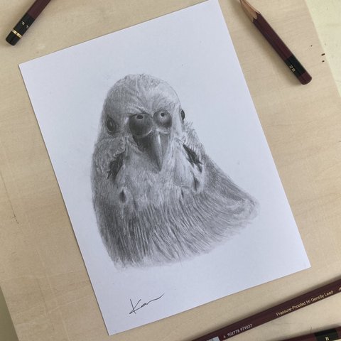 オーダーメイド　サンプル　「鳥の絵　インコ　似顔絵」