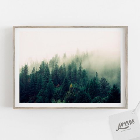 霧と針葉樹の森 フォレスト 山肌 ミニマル 写真 ポスター 2L A5 A4 A3 B3 A2 B2 A1サイズ 大きい 大判 横長 横向き 自然 おしゃれ グリーン 風景 海外 写真 インテリア