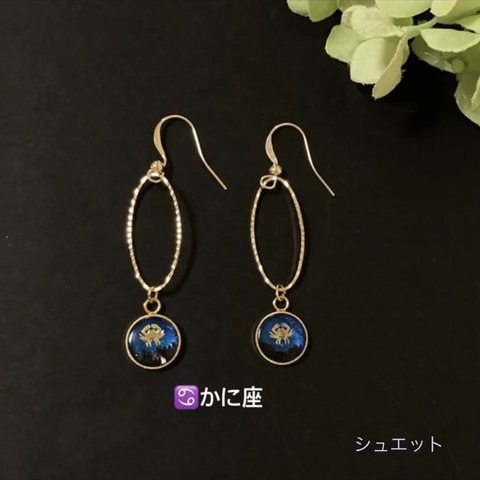 12星座 ピアス･イヤリング(かに座)