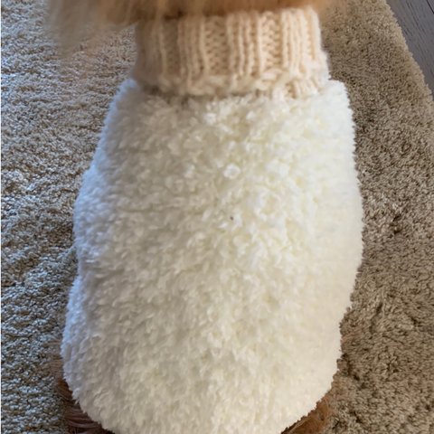 犬　手編み🧶フワフワニットセーター