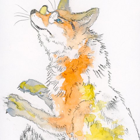 原画「Glasses montana red fox」