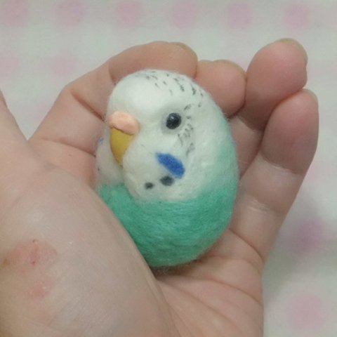 マグネット/ブローチ どちらか選択  　セキセイインコ　ミントブルーオパーリン　　羊毛フェルト　受注作成　工房小鳥屋さん　　オーダー可能