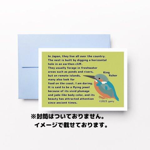 47.「カワセミ」のポストカード