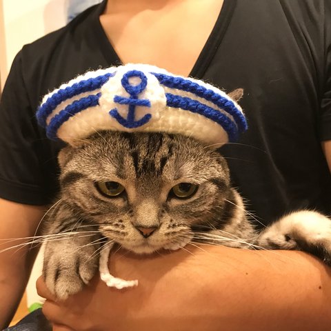 再販！猫用帽子 水兵さん