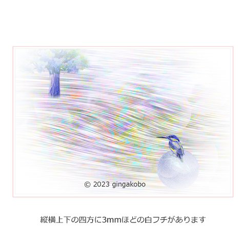 「風との話」カワセミ 鳥 川　ほっこり癒しのイラストポストカード2枚組No.053