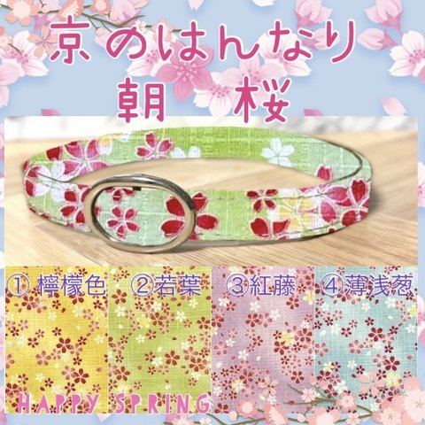 40000　はんなり京の朝桜＊紫陽花＊迷子札付＊フルオーダーの軽い首輪