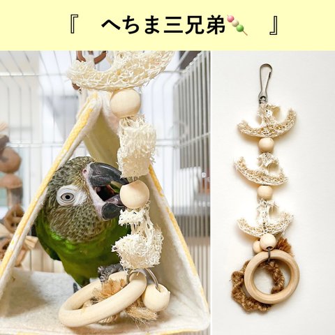 噛み放題！３つのヘチマと遊ぼう🍡インコさん用おもちゃ