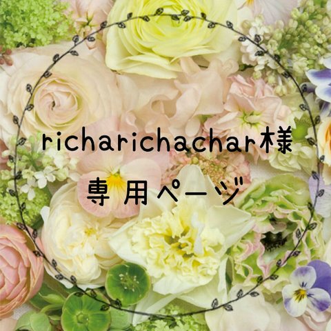 ＊richarichachar様専用ページ＊