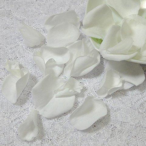 薔薇　バラ　花びらM　プリザーブドフラワー　ホワイト　２０枚以上