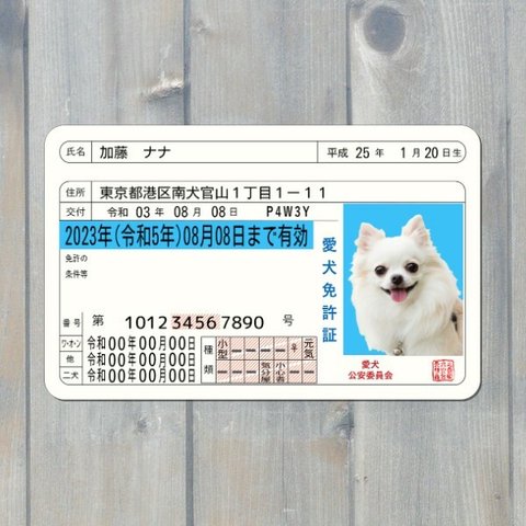 愛犬免許証