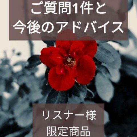 リスナー様限定商品（初回購入の方のみ１回限定）お悩み相談 【ご質問1件と今後のアドバイス】