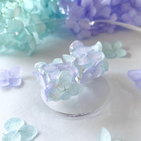 満開♪2色の紫陽花ピアス, イヤリング/アナベル  プリザーブドフラワー/6月誕生花/青紫(パープリッシュブルーカラー)＆空色(ブルーカラー)/金属アレルギー対応〈受注制作〉