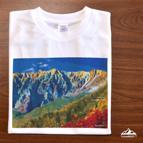 伯耆大山 Tシャツ ドライ 吸水速乾 山 登山 アウトドア