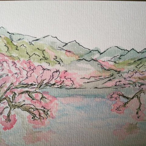 水彩画（山の桜、みずかがみ）ハガキサイズ