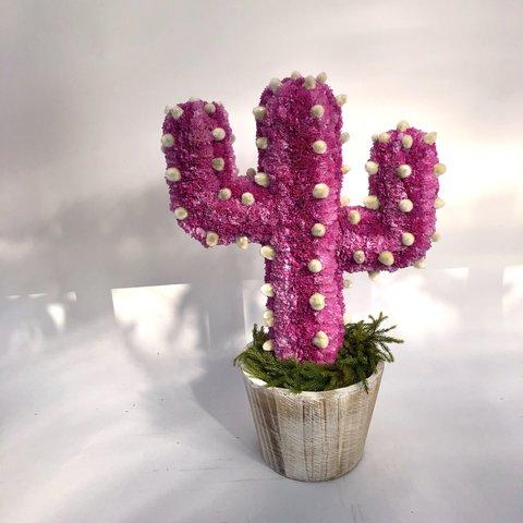 【値下げ】Cactus(ハンズ34/ピンク) カラフルサボテンオブジェ　ドライフラワースターチス