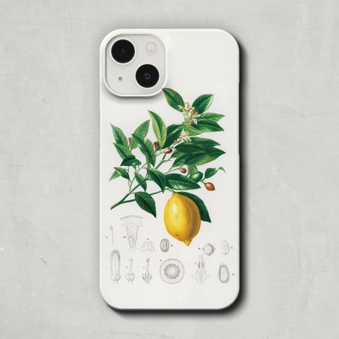 スマホケース / チャールズ・デサリーヌ・ドルビ二「レモン」 iPhone 全機種対応 iPhone14 Pro Plus SE 檸檬 れもん フルーツ 果物 レトロ 個性的