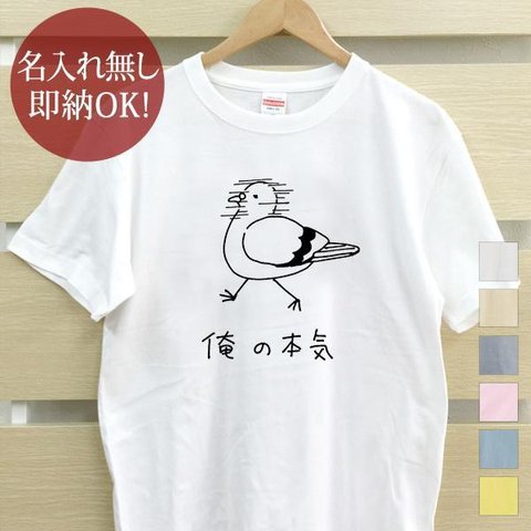 Ｔシャツ メンズ レディース 半袖 おもしろ 鳩 ハト 鳥 動物 俺の本気  即納