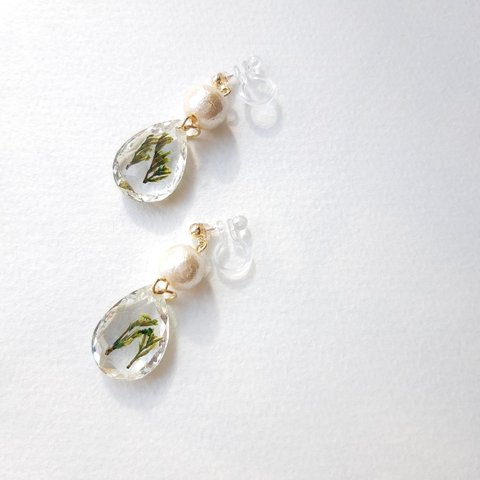 訳ありsale『dry plant drop charm×cottonpearlﾉﾝﾎｰﾙｲﾔﾘﾝｸﾞ/ﾋﾟｱｽ』送料無料