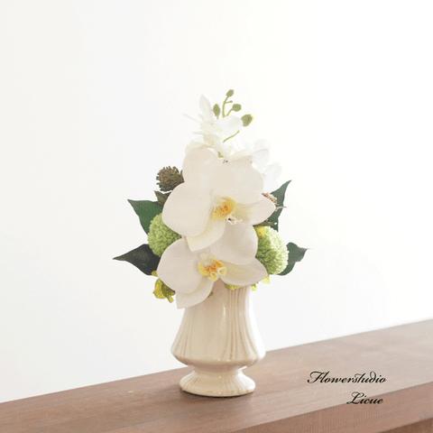 再販1【仏花】胡蝶蘭とマムのお供えのお花　Sサイズ （花器に固定したタイプです）