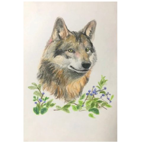 ドローイング　オオカミ　狼　犬　イラスト　アート　パステル画　絵画　一点物　原画