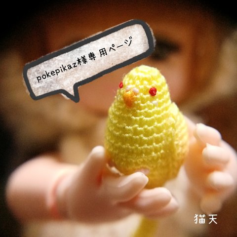 【pokepikaz様専用ページ】になります