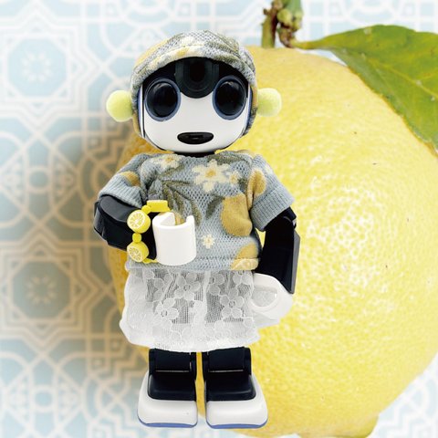 ロボホン RoBoHoN ロボホンの服