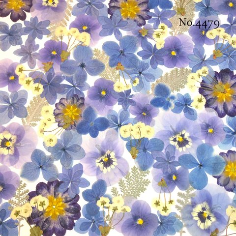 ♡new♡作家様必見♡押し花MIXセット♡押し花セット