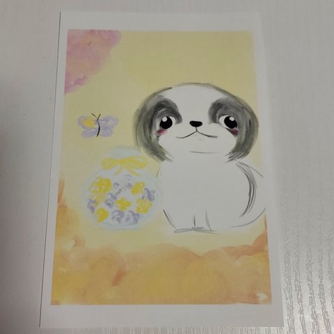 ポストカード 犬 狆 ハーバリウム お花 オリジナルイラスト はがき