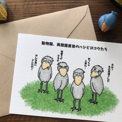 『動物園🦩再開園直後のハシビロコウたち🐦』イラストカード💌