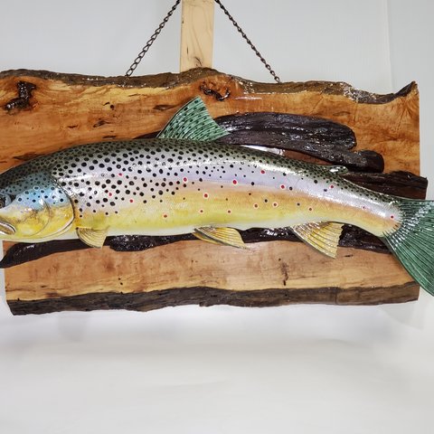 Brown   trout     ブラウン トラウト     