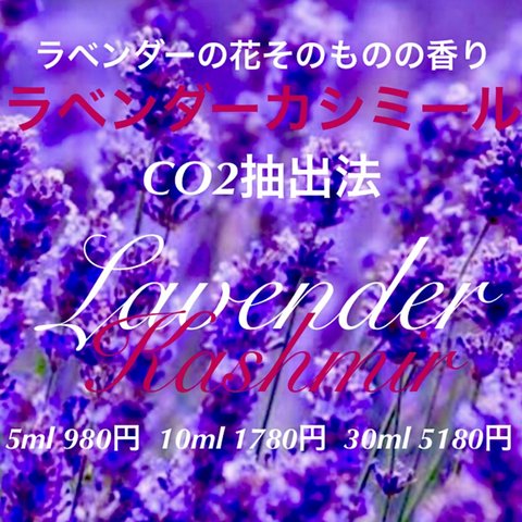 【フラワー感たっぷりの香り】ラベンダーカシミールCO2抽出法エクストラクト10ml