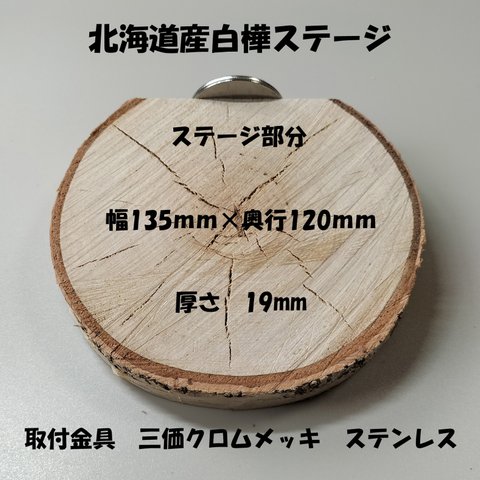 白樺ステージ　２５　（ステージ135×120ｍｍ　厚さ19ｍｍ）