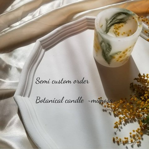 botanical candle  ~mimosa~