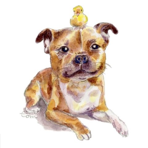 🐶犬とひよこ🐥　ポストカード２枚セット