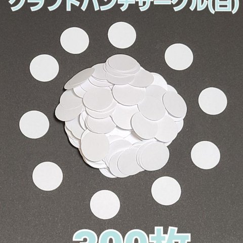 【おすすめ】サークルクラフトパンチ(白)300枚 製作パーツ  雪 目 メッセージ